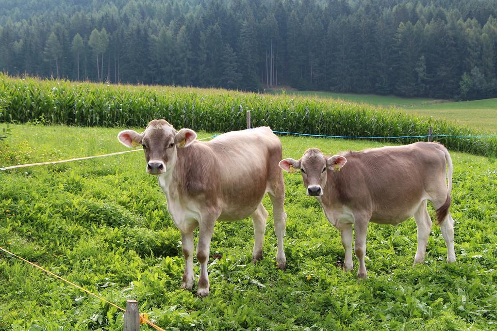 Spisserhof Chiusa Zewnętrze zdjęcie