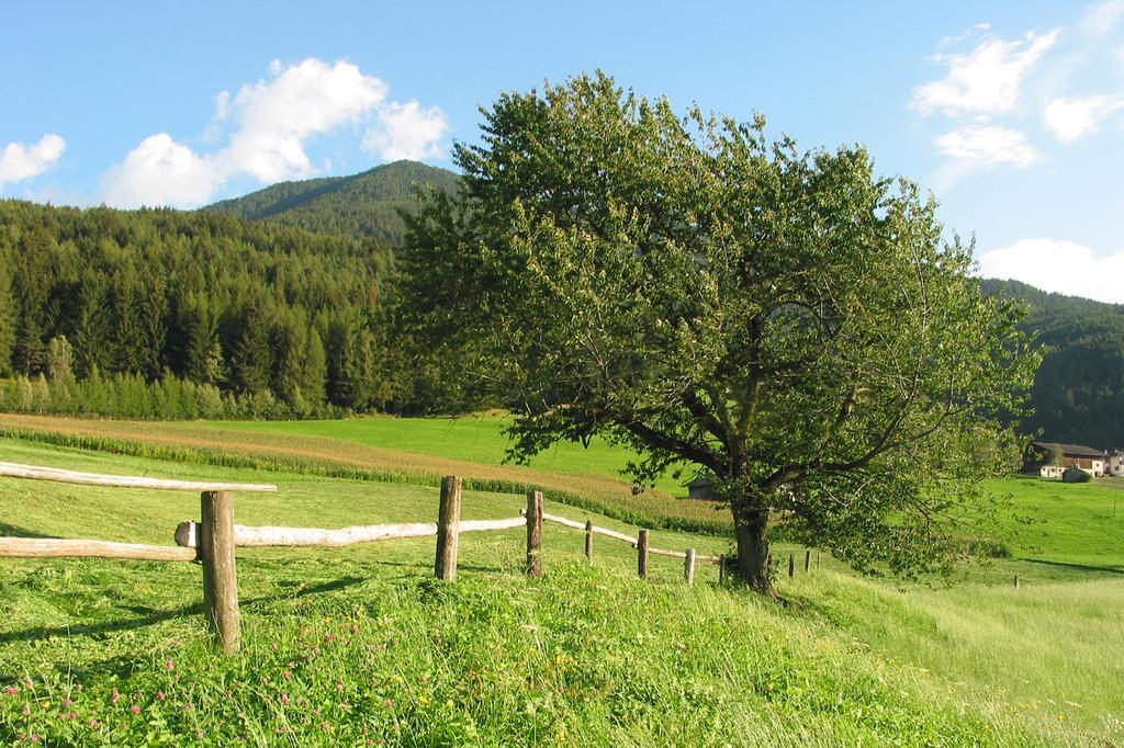 Spisserhof Chiusa Zewnętrze zdjęcie