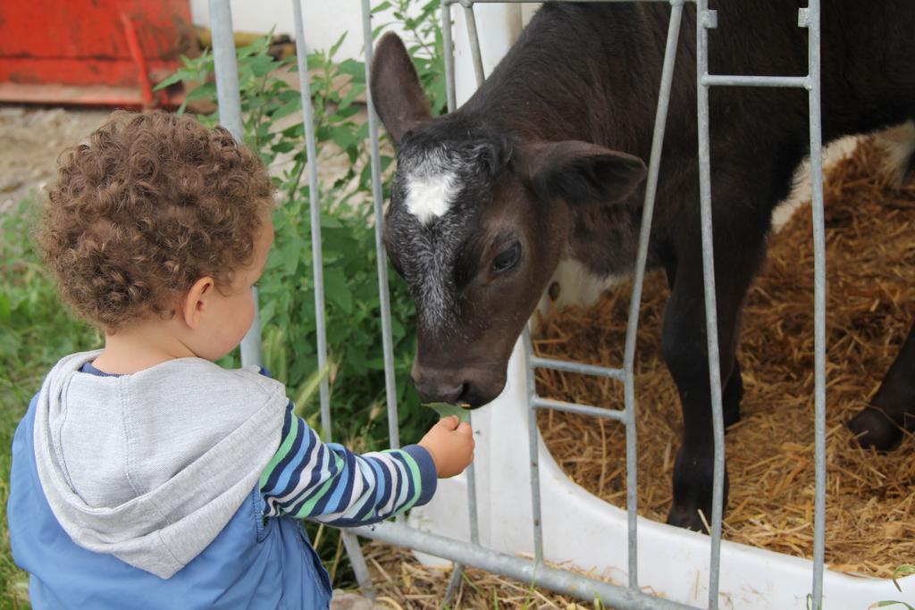 Spisserhof Chiusa Zewnętrze zdjęcie
