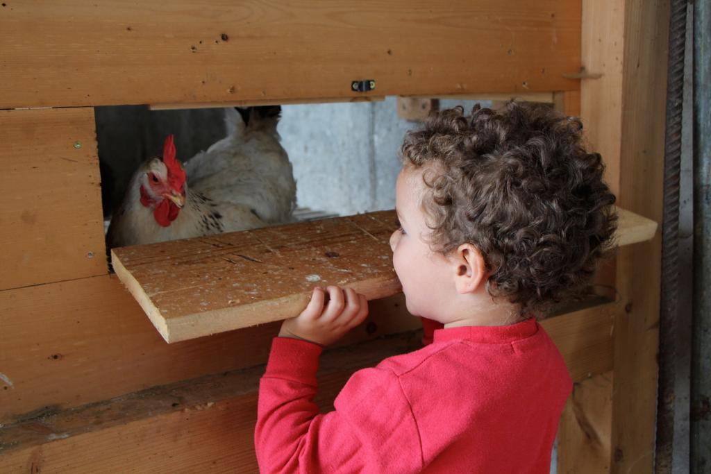 Spisserhof Chiusa Zewnętrze zdjęcie